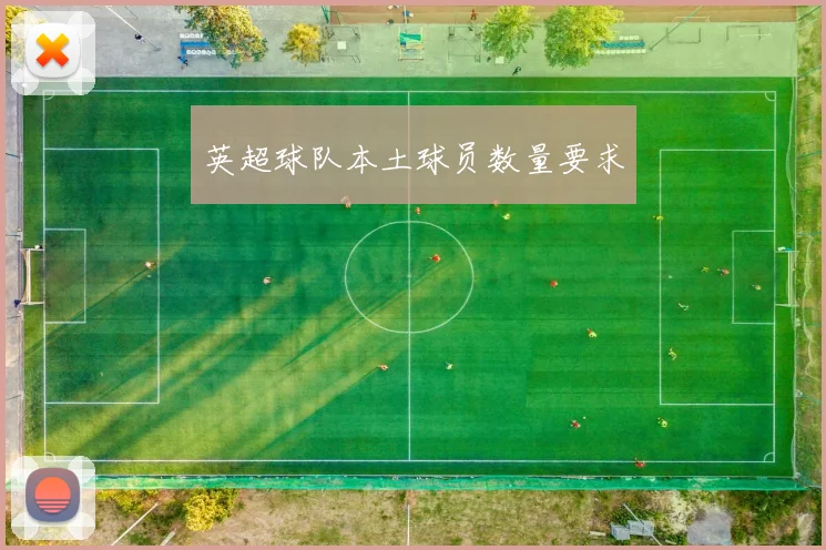 英超球队本土球员数量要求