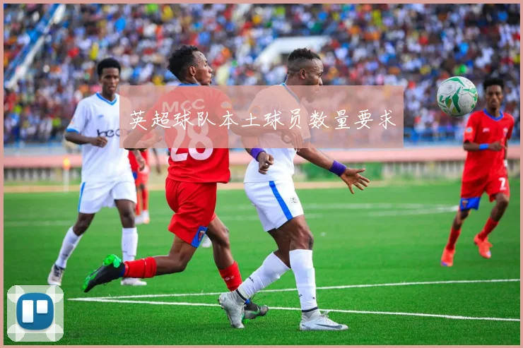 英超球队本土球员数量要求