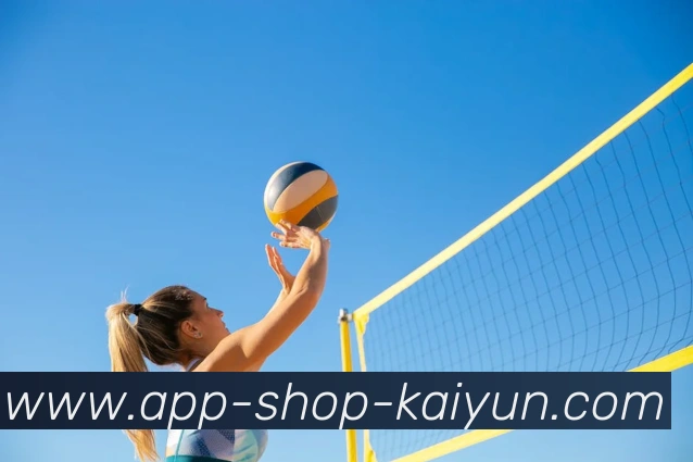 多媒体互动体验